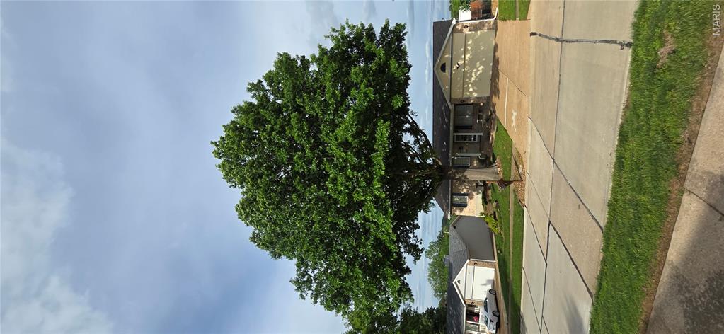 Mastodon Meadows - Residential