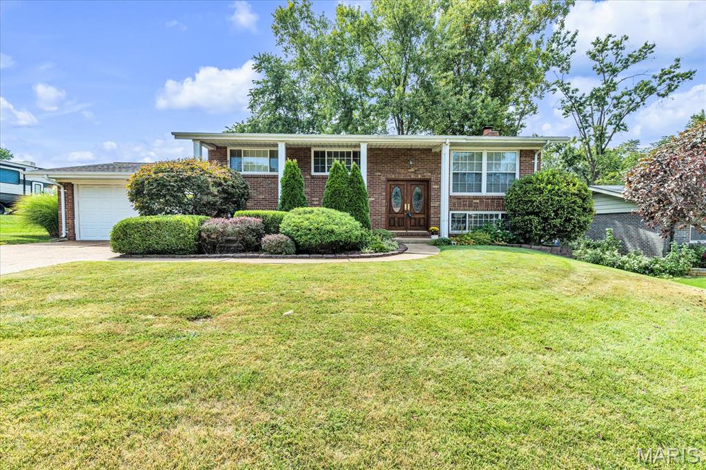 Blueberry Hill beauty in the Lindbergh School District! This 3-bedroom, 2-bath home delivers the perfect mix of style, space, and fun. Gorgeous wood floors run throughout the main level, while the updated kitchen steals the show with 42-inch cabinetry, granite counters, and a pantry. Downstairs, the walk-out lower level features LVP flooring, a cozy fireplace, and a spacious family room made for movie nights or game days. Need extra space? The bonus room is ideal for a home office, workout space, or sleeping area. Outside, the backyard is ready for summer with a patio and private pool. Add a 2-car garage and you've got a home that's as functional as it is fun. This one is a charmer!