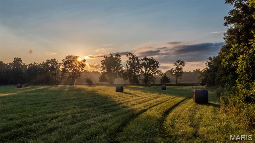 NA - Farm