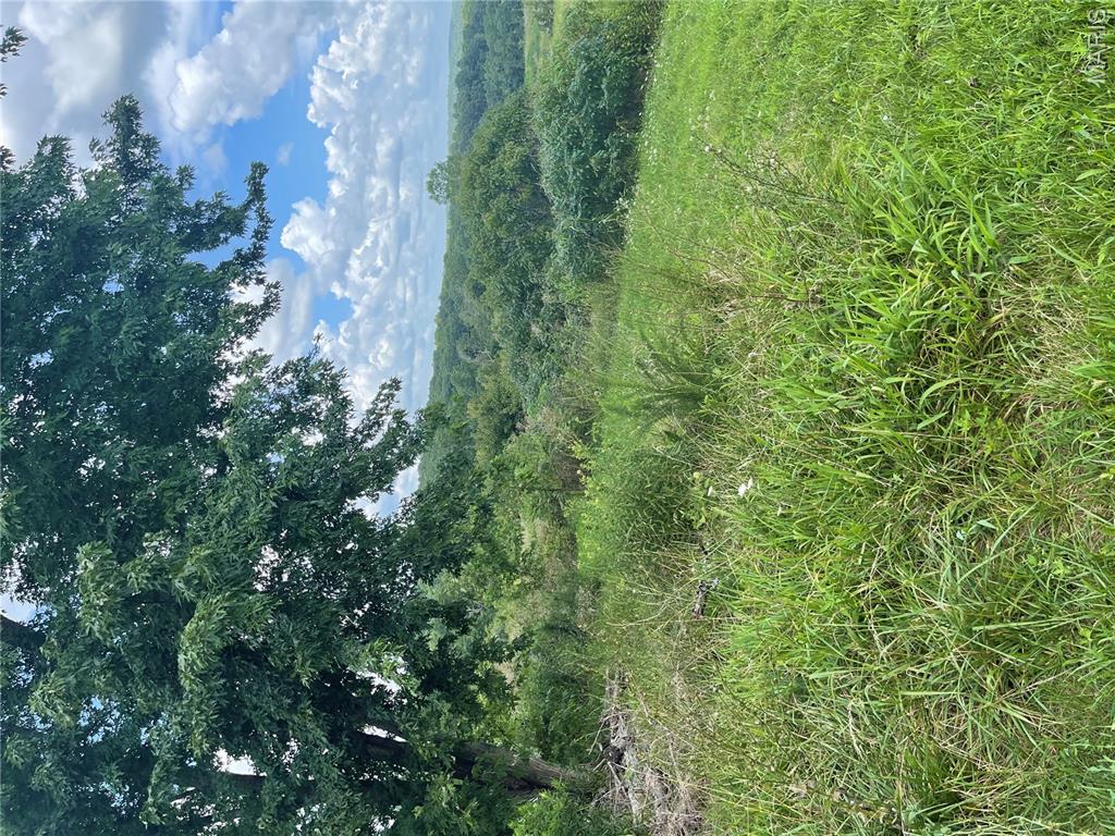 Unknown - Farm