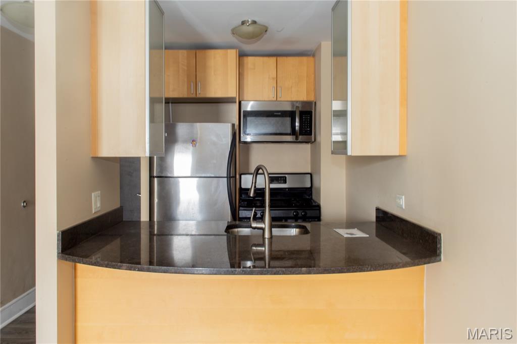 Blu Condo - Residential Lease