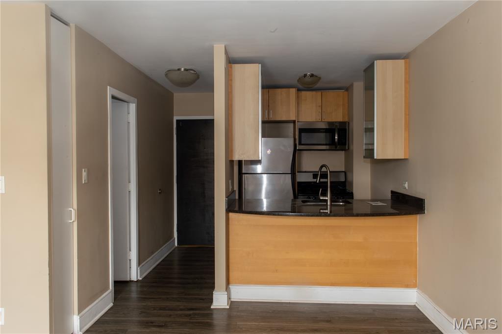 Blu Condo - Residential Lease