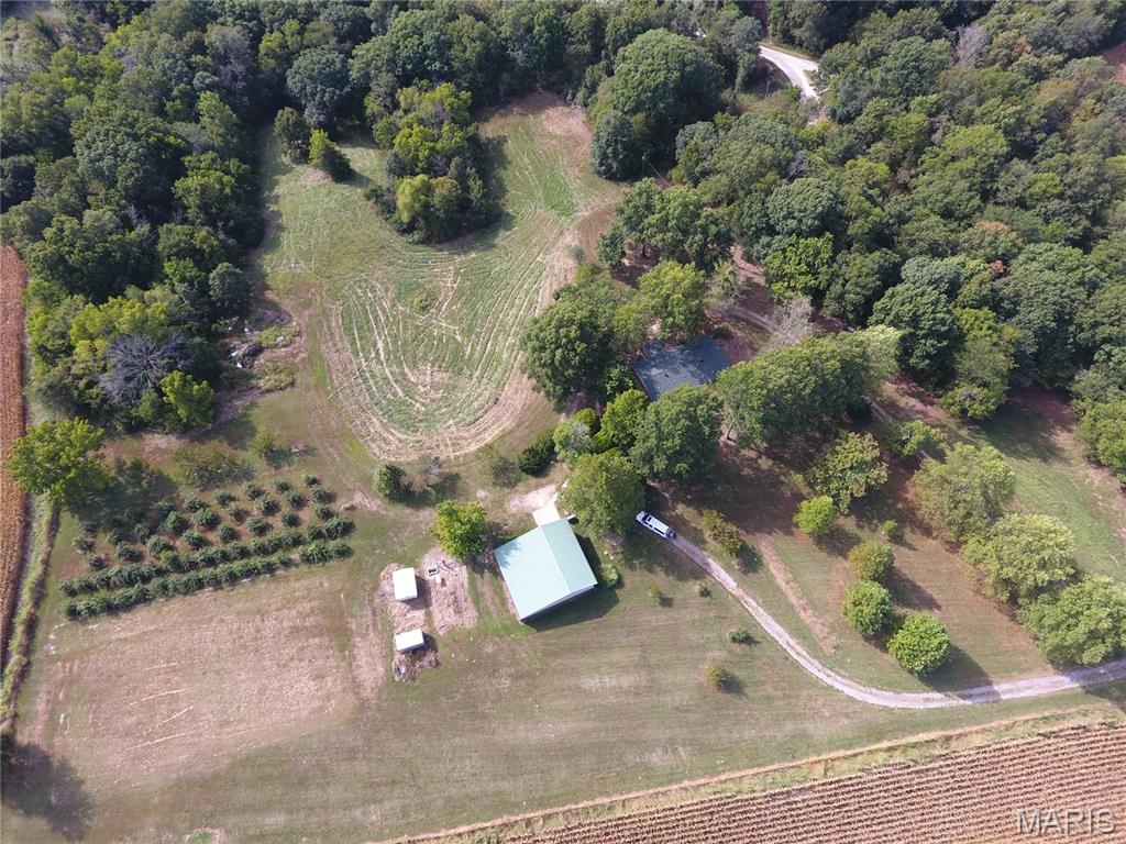 This 10 acre property has many features that most people dream of having.  First a 45' X 45' RC building with concrete floor, sink and cabinets, a half bath, and a walk in cold storage unit when used was for keeping the fruit picked from spoiling. A large work bench, upper level storage, and one side open for equipment storage. There is a green house that could help start your garden or flowers.  Several fruit trees, apple, peach, and one old cherry tree.  There are 60 plus mature blackberry bushes, and large asparagus plot.  The home is surrounded by mature hardwood trees.  The property is well maintained and ready for your finishing touches.  the home can be heated with the centrally located wood stove which will definitely do its job.