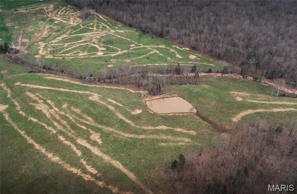 If you are looking for Pasture land then look no farther, this property is in excellent grass, Fertilized Regularly  for maximum production. The land is 90% open with just enough woods to make for good hunting. This would be a great place to build that new dream home with a gradual lay from the county road you can look over nearly the entire property. If you are looking for Pasture that is set up and ready to go Come take a look at this one.