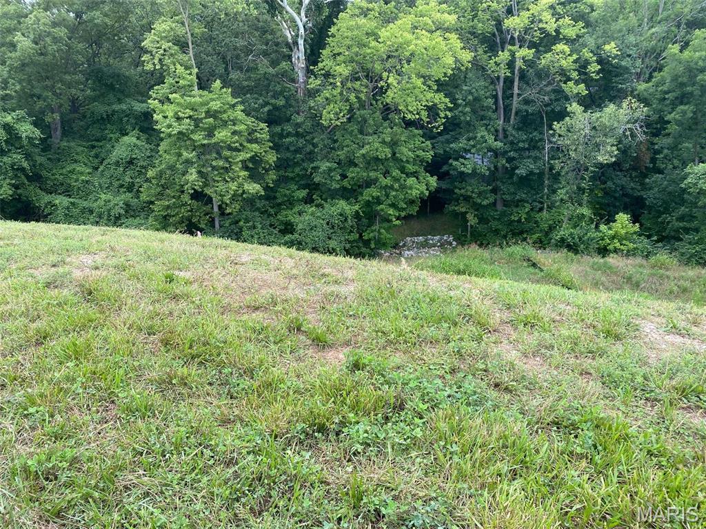 Bluffs At Lily Ave The - Land
