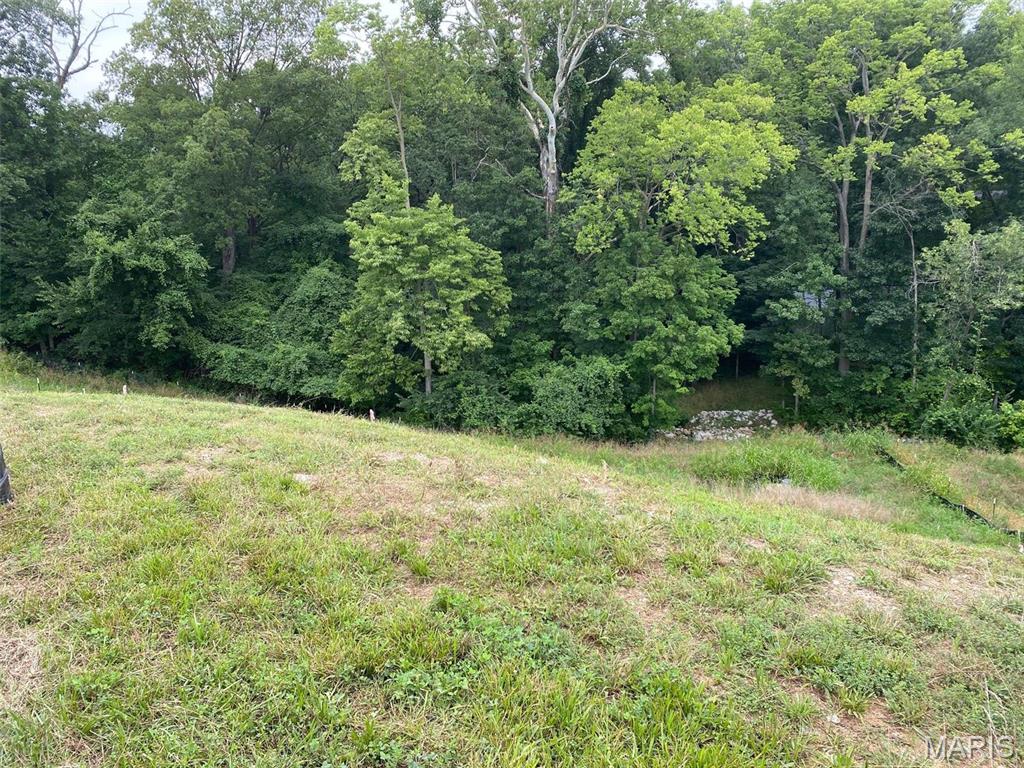 Bluffs At Lily Ave The - Land