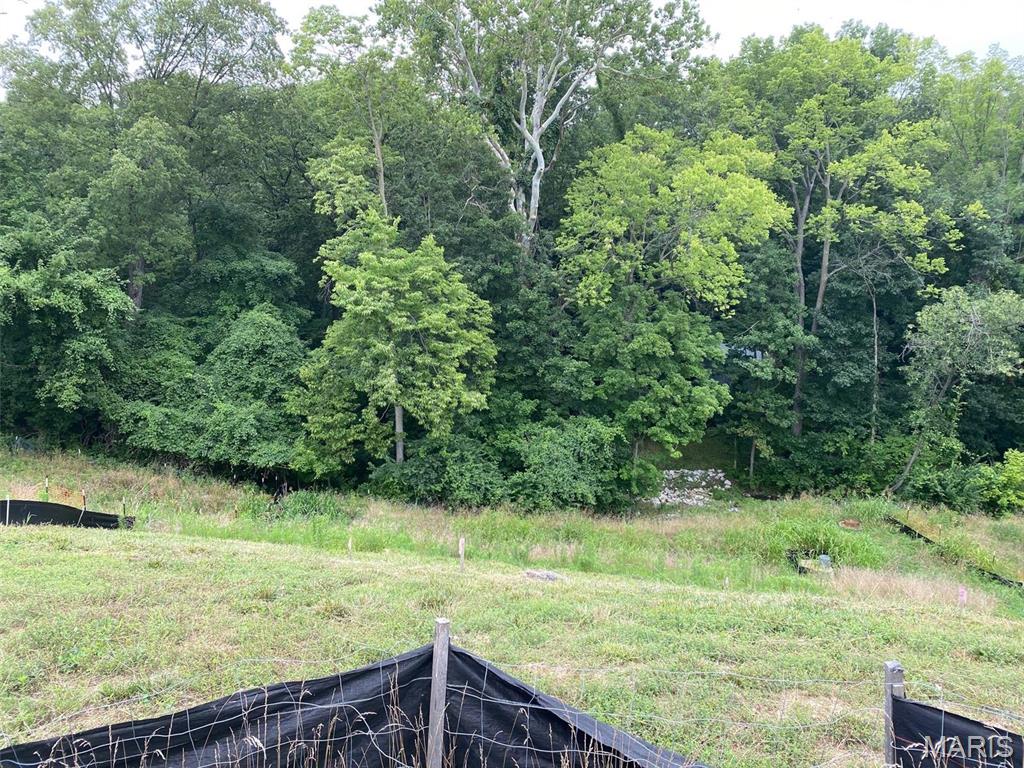 Bluffs At Lily Ave The - Land