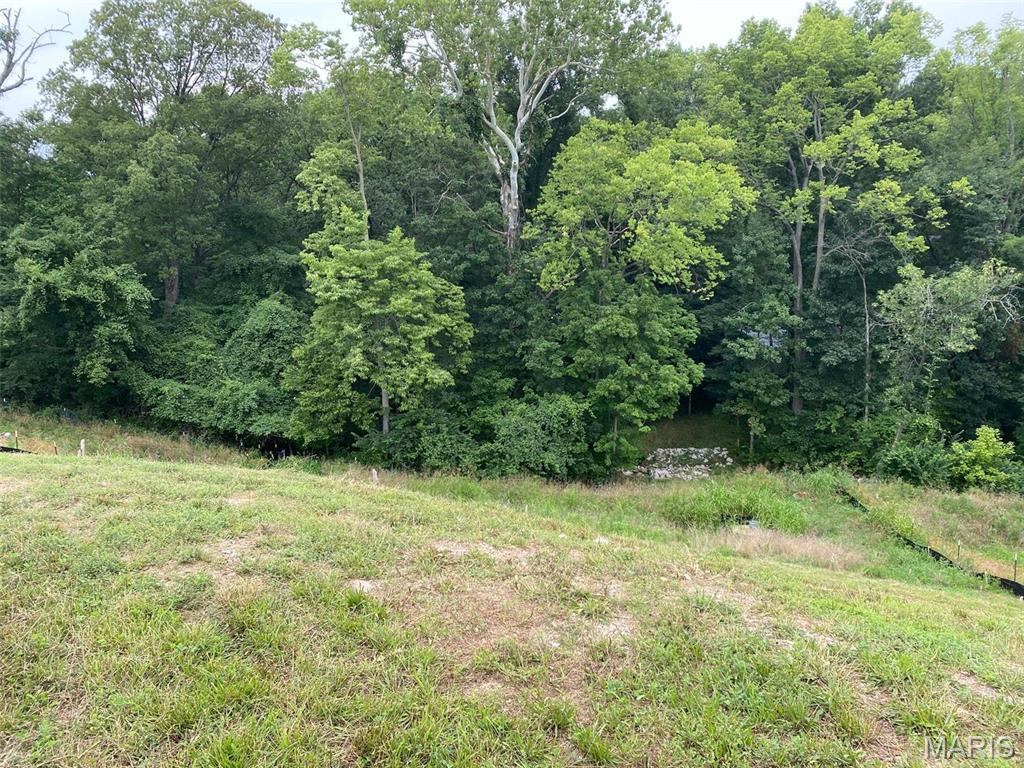 Bring your builder. Bring your plan to this desirable location.