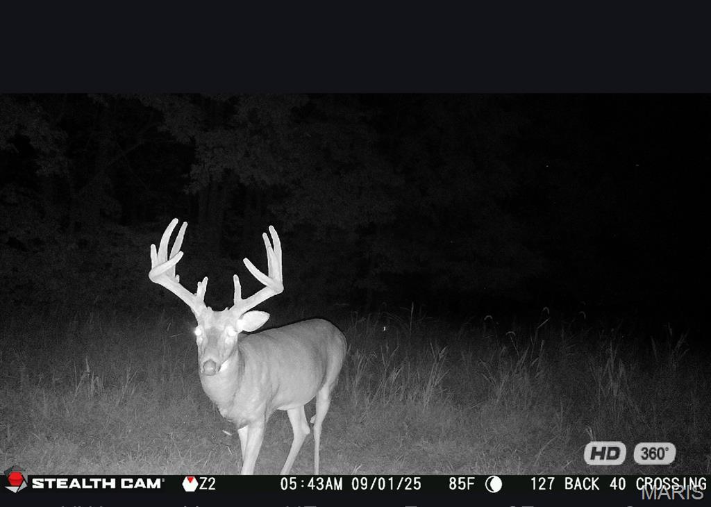 Incredible opportunity to own 67 +/- Acres in a highly sought after area.  Land in this area does not come up for sale often.  Extremely private property with a good mix of open and wooded ground.  Fantastic hunting for both whitetail deer and turkeys. (Check out some of the trail cam photos.)  A wet weather creek runs through a portion of the property.  There are multiple desirable building sites and several potential lake sites.  Whether you are looking for a recreation piece or a place to build your forever home, the privacy, character and convenient location of this piece is hard to beat.  Just 3 miles from Marthasville and only 7 miles from Washington.  Call to schedule a private tour today.