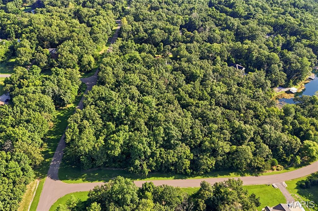 Delmer Meadows - Land