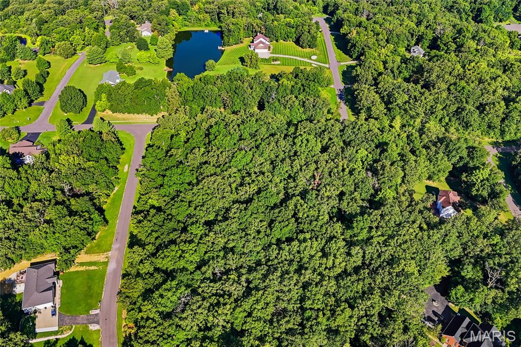 Delmer Meadows - Land