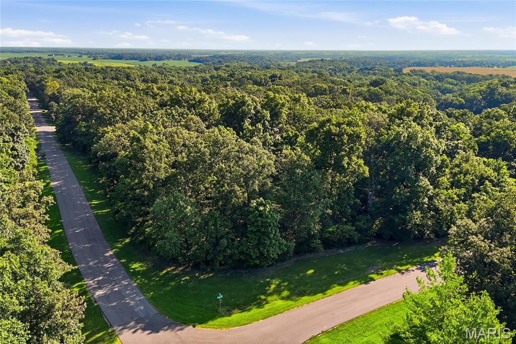 Delmer Meadows - Land