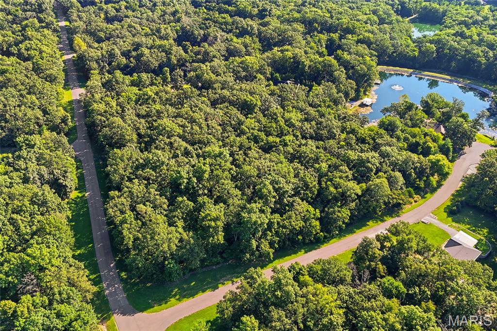 Delmer Meadows - Land