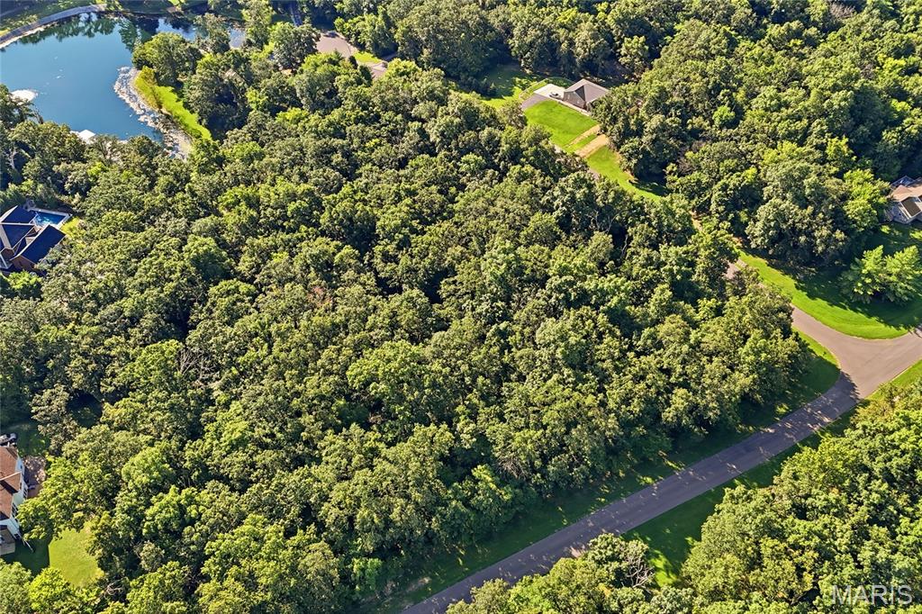 Delmer Meadows - Land