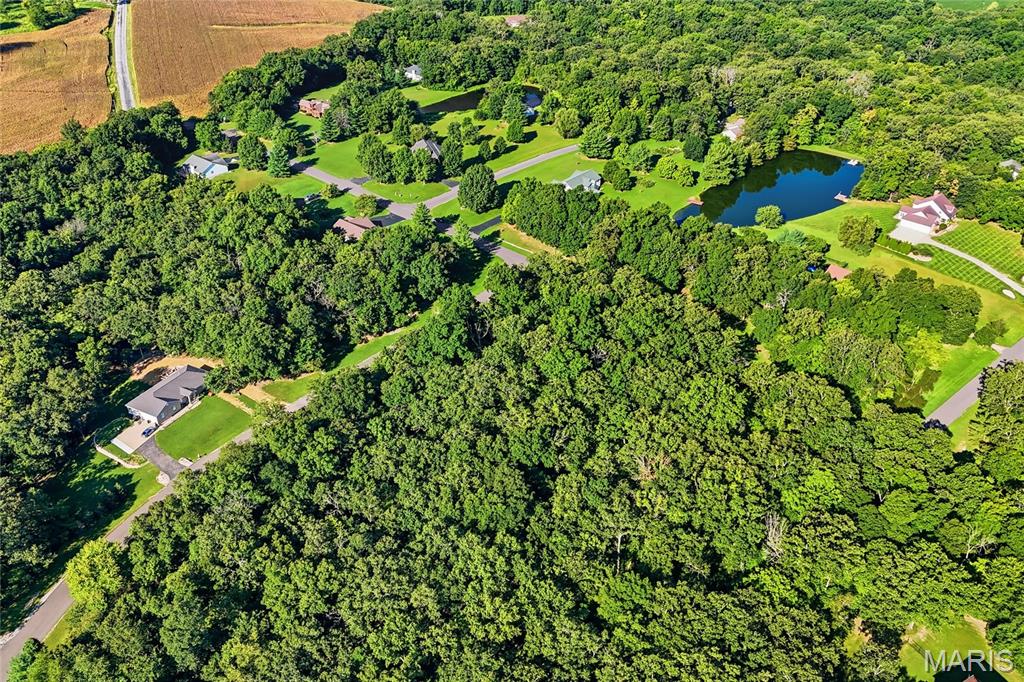 Delmer Meadows - Land