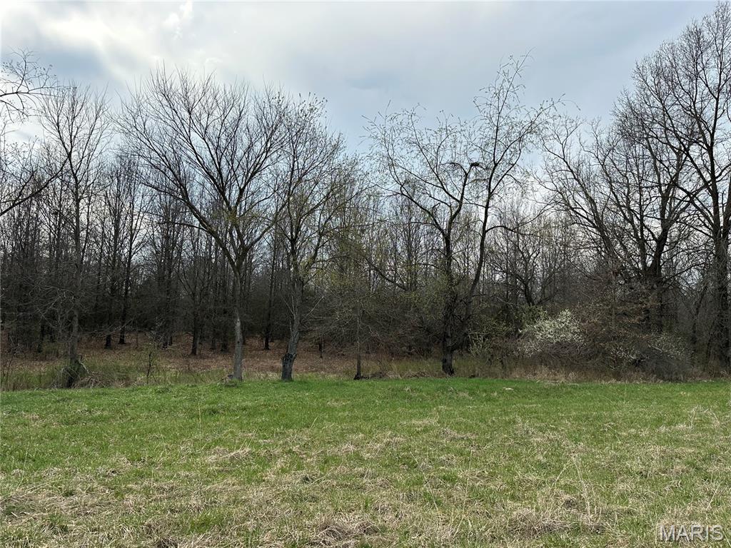 20 acres. 10 tillable in crp. 10 woods.