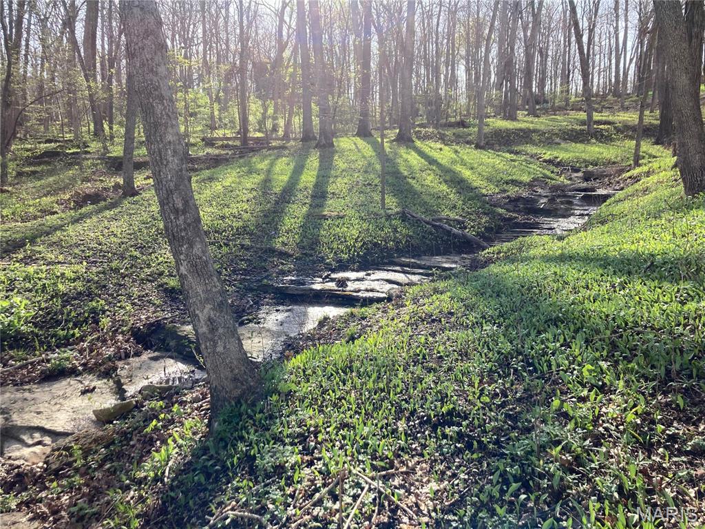 Forest Bluff - Residential