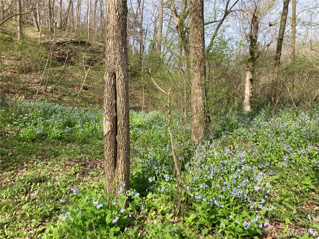 Forest Bluff - Residential