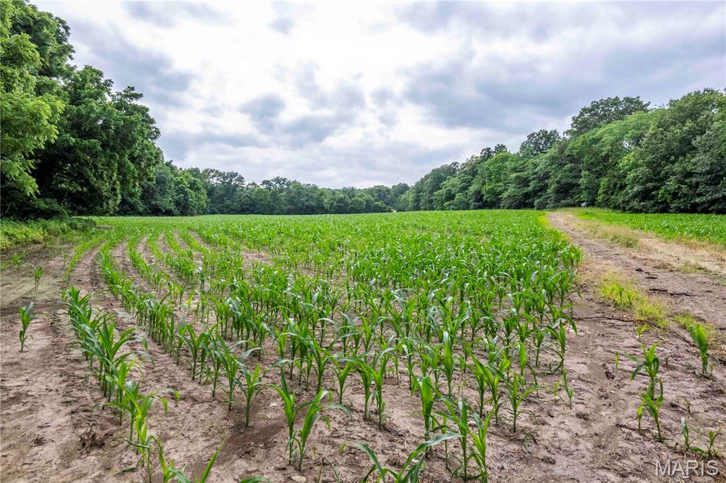 N/A - Farm
