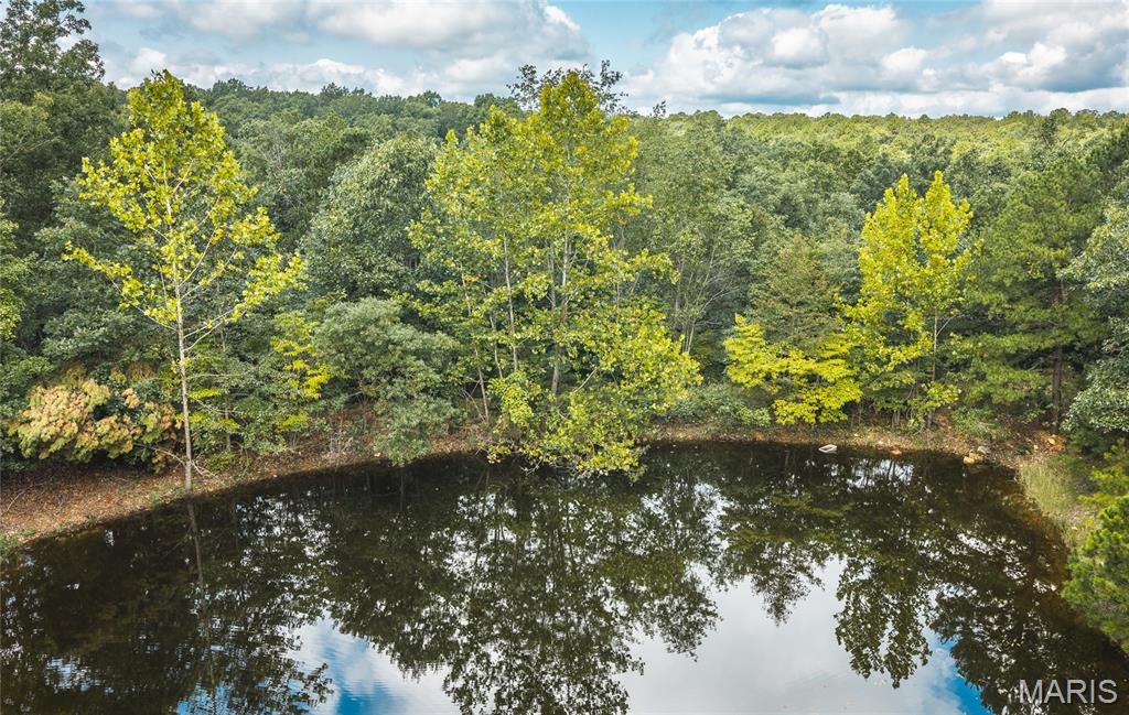 Undeveloped, no restrictions, loaded with wildlife.... this 18.5 is perfect recreational property. There is a small pond near the front of the property and the rest is just woods. Would be wonderful spot to build your forever home!