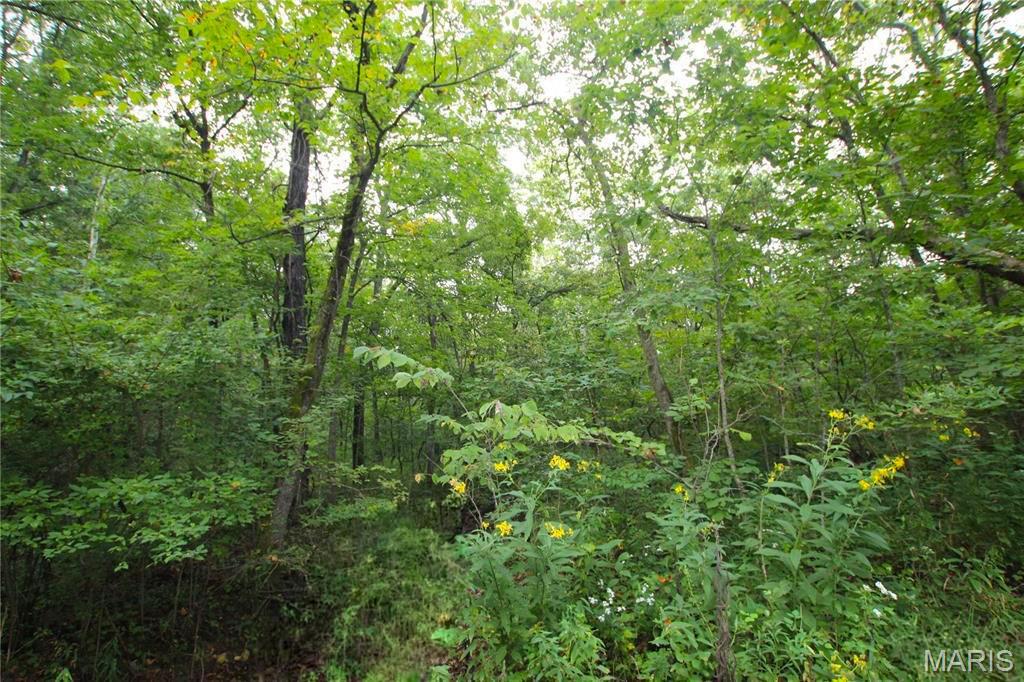 4.14 acres of privacy, space, and opportunity in Warrenton.

This wooded tract offers a private setting with varied terrain and no utilities currently connected, making it ideal for recreation, a future homesite, or long term investment. Whether you’re planning to build, explore, or hold land for the future, this property offers room to create your own plans.

Tucked away yet still within easy reach of town and major highways, this property offers the balance of seclusion and convenience buyers are looking for. An excellent opportunity to own acreage in the Warrenton area.

This property is currently recorded as part of a larger parcel. Tax ID #06260000022000000. The survey/redivision has not yet been recorded, and the tax records will be updated upon recording.

Additional acreage is also available, including 50.15 acres, 6.72 acres, and 4.65 acres.

Additional acreage is also available, including 50.15 acres, 6.72 acres, and 4.65 acres.

Important: The current GIS/tax record reflects this property as part of a larger parcel. Important: The current GIS/tax record reflects this property as part of a larger parcel. This property is currently recorded as part of a larger parcel. Tax ID #06260000022000000. The survey/redivision has not yet been recorded. The tax amount shown reflects the taxes for both the 4.65 acre and 4.14 acre tracts combined and is not the tax amount for this individual tract. Tax records will be updated upon recording.