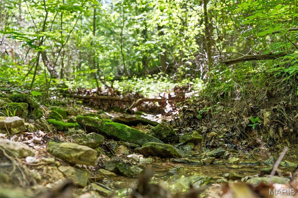 Hidden Ridge - Land