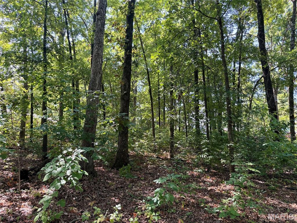 Northwood Hills - Land