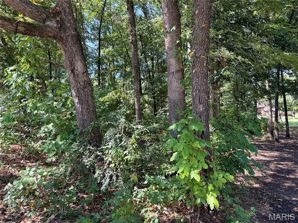 Northwood Hills - Land
