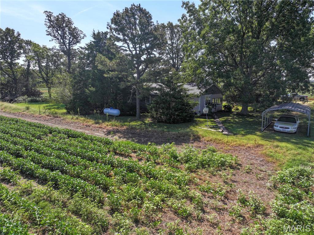none - Farm