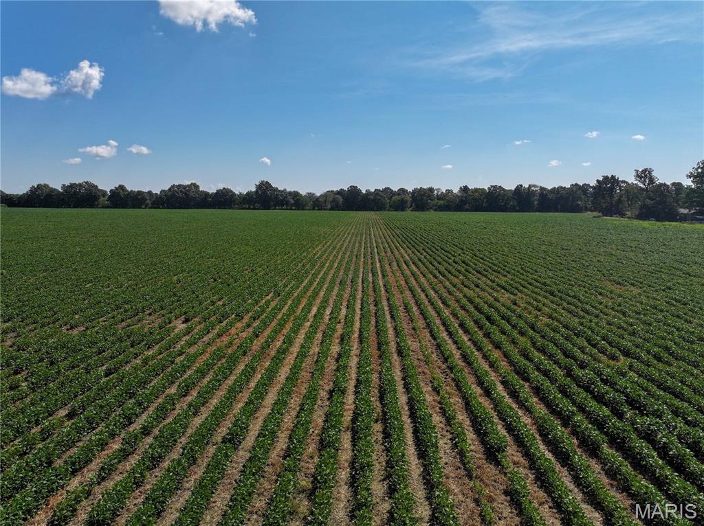 Productive dryland farm in a great location between Campbell and Glennonville, Missouri! This surveyed 138.97-acre m/l farm sits along the north side of Highway 53 and offers an excellent opportunity to add productive acreage to an existing farming operation or for those looking for a solid land investment.

The farm consists primarily of productive soils, including Overcup silt loam, Dundee silt loam, Foley silt loam, and Dubbs silt loam. Productive farmland in this area is hard to come by, making this a great opportunity to acquire additional acreage in a desirable farming area.

The farm will be sold open for the 2027 farming season, providing the successful bidder an opportunity to plan ahead for next year's crop.

A survey will be completed prior to closing, and the property will be sold based on the actual surveyed acreage. Survey costs will be split 50/50 between the buyer and seller.

A house and shop located on the farm will also sell AS IS, WHERE IS, with no warranties or guarantees regarding condition.

**ACCESS/LANE DISCLOSURE:** The existing lane currently used to access the house is **not located on the property being sold** and is not included in the sale. If access to the house via a lane is desired after closing, the buyer will be responsible for relocating and/or constructing a new lane entirely within the boundaries of the property being purchased. Buyer should satisfy themselves as to future access and the location and cost of any necessary improvements prior to bidding.

**ONLINE AUCTION:** The farm will sell by online auction, with bidding closing October 6, 2026, at 6:00 PM.

Don't miss this opportunity to purchase productive farmland in a sought-after area. Whether you're looking to expand your farming operation or add farmland to your investment portfolio, this property deserves a close look.