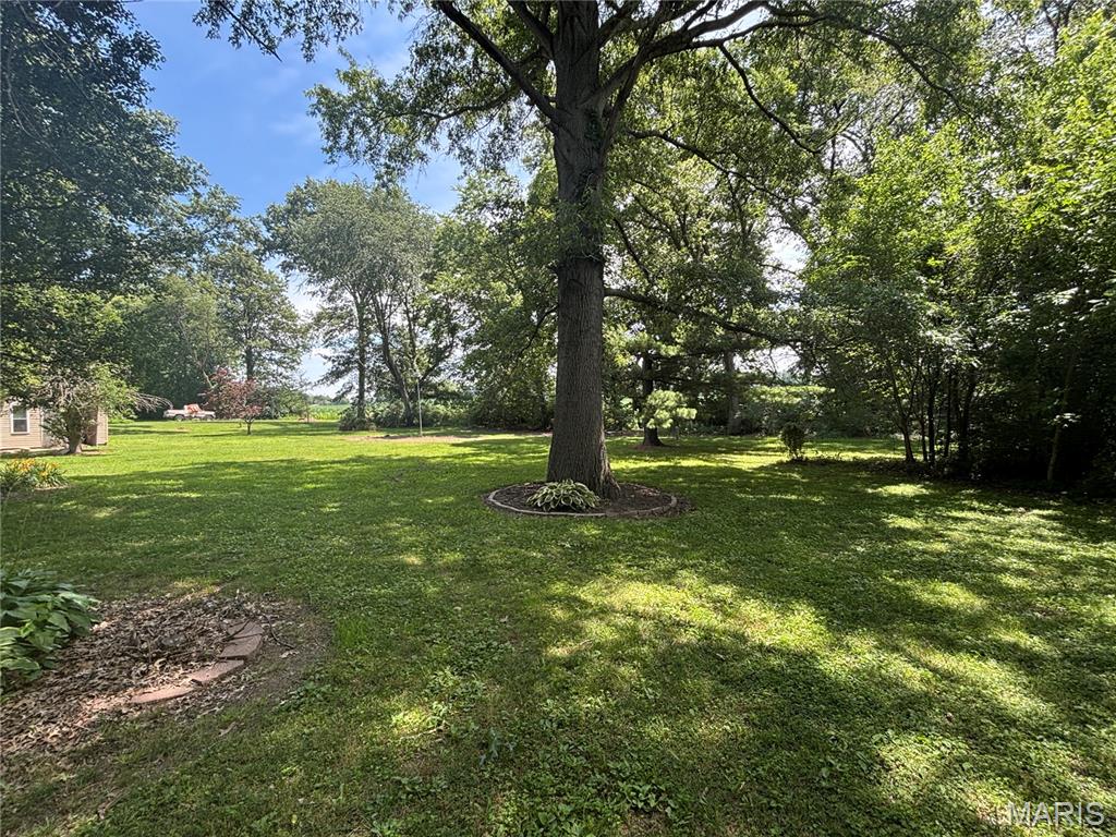 Subdivision Forest Cove Estates - Residential