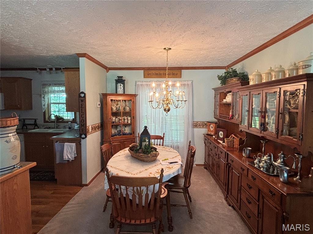 Subdivision Forest Cove Estates - Residential