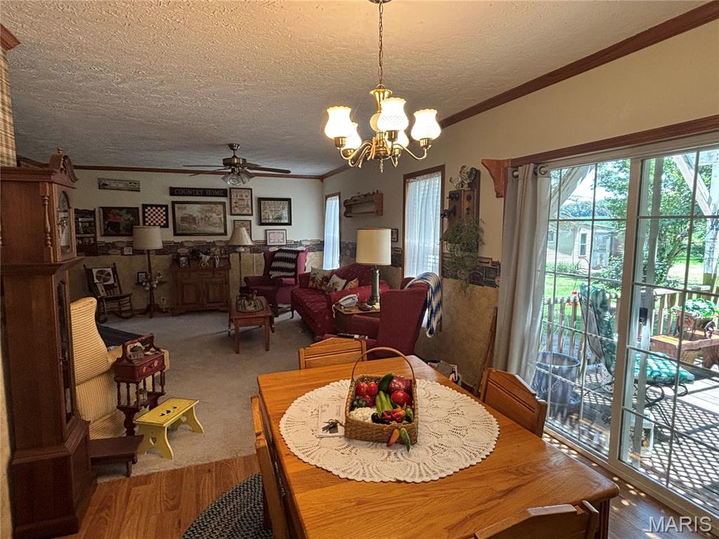 Subdivision Forest Cove Estates - Residential