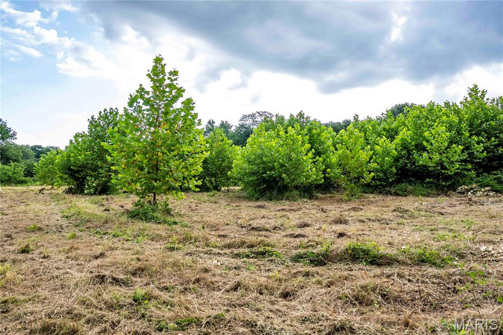 Spring House Meadows - Land