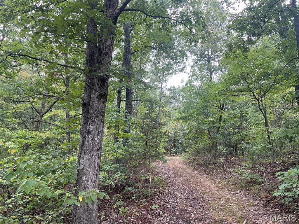 23 Surveyed Acres of Ozark Beauty! Beautiful, private setting just off Highway 34 East and less than 2 miles from Piedmont. Located at the end of a paved county road with additional county gravel road access, the property is easily accessible. Existing ridge road running the depth of the property gives you access to multiple building sites with partial views of Clark's Mountain and Clark's Creek Valley. Electric line lies just within feet of the property line for easy access to electricity. Great property for building your dream home or cabin. With its combination of views, access, privacy, potential home sites, hunting and recreational opportunities and close proximity to Piedmont, this property has it all. Call today for your personal showing!