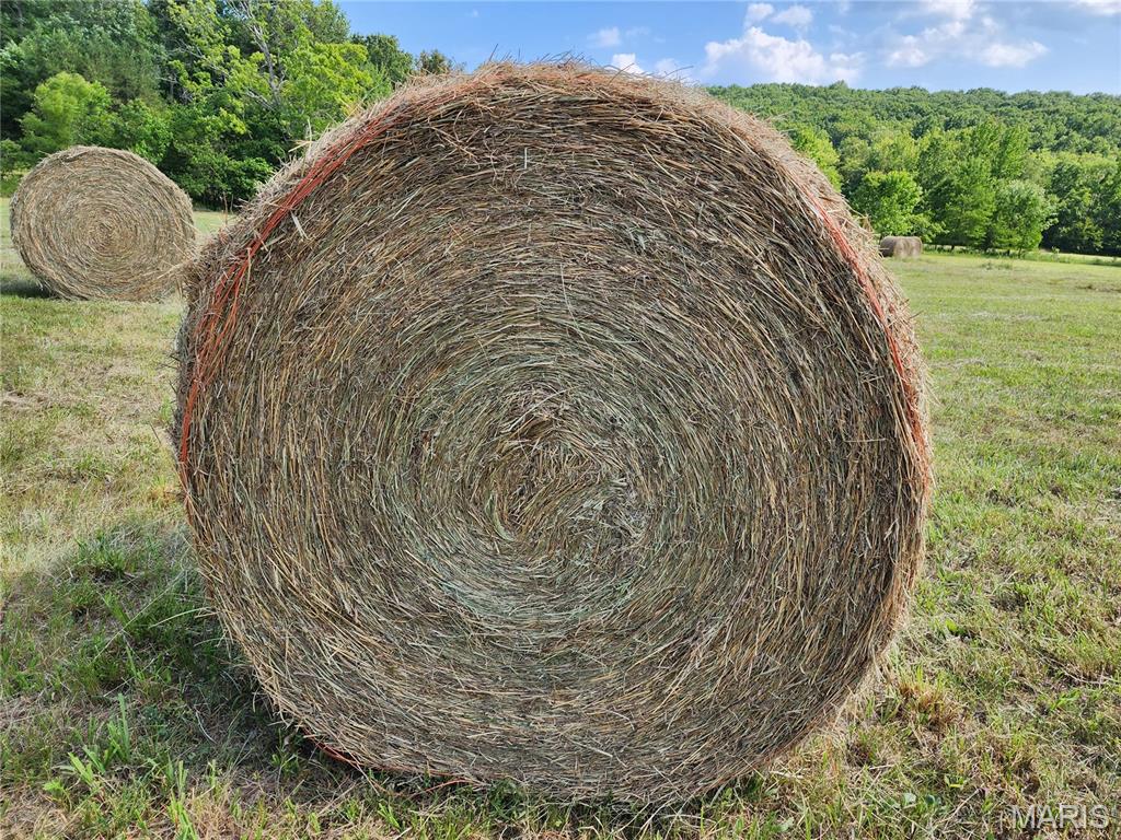 None - Farm