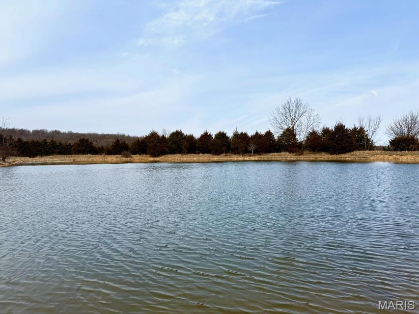 First time on the market in generations, this gorgeous Texas County 31.23 surveyed acres is prime for an amazing home build site with stunning southern panoramic views and very large stocked pond. Pretty rock overhangs with a spring bubbling out of the rocks, perimeter fencing, electric and 2 road frontages for convenience. No restrictions and additional acreage available. Houston Schools. Owner financing available.