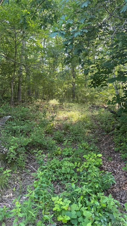 Goose Creek - Land