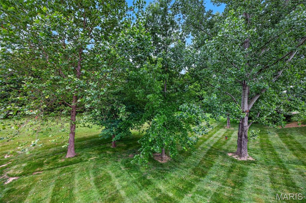 Woodlands At Bear Creek - Residential