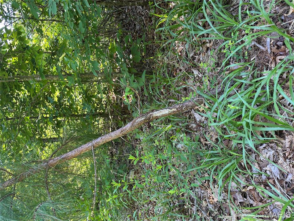 N/A - Farm