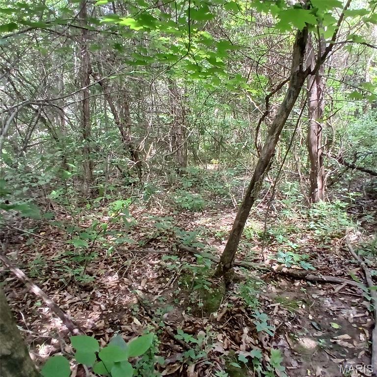 Nice little lot at Iron Mountain Lake. The road is cleared out almost all the way to it, but the road does need a little work!
