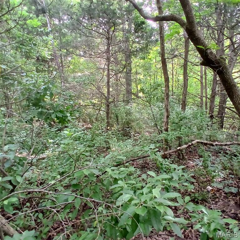 Iron Mtn Lake - Land
