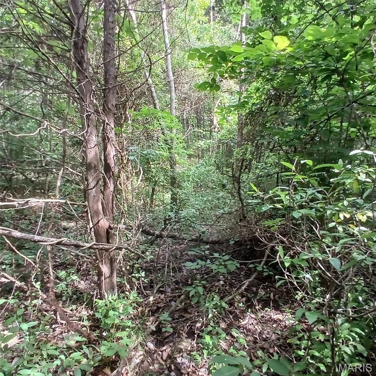 Iron Mtn Lake - Land