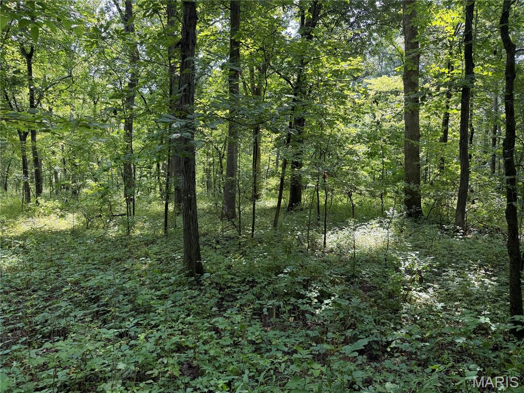lenzburg - Farm