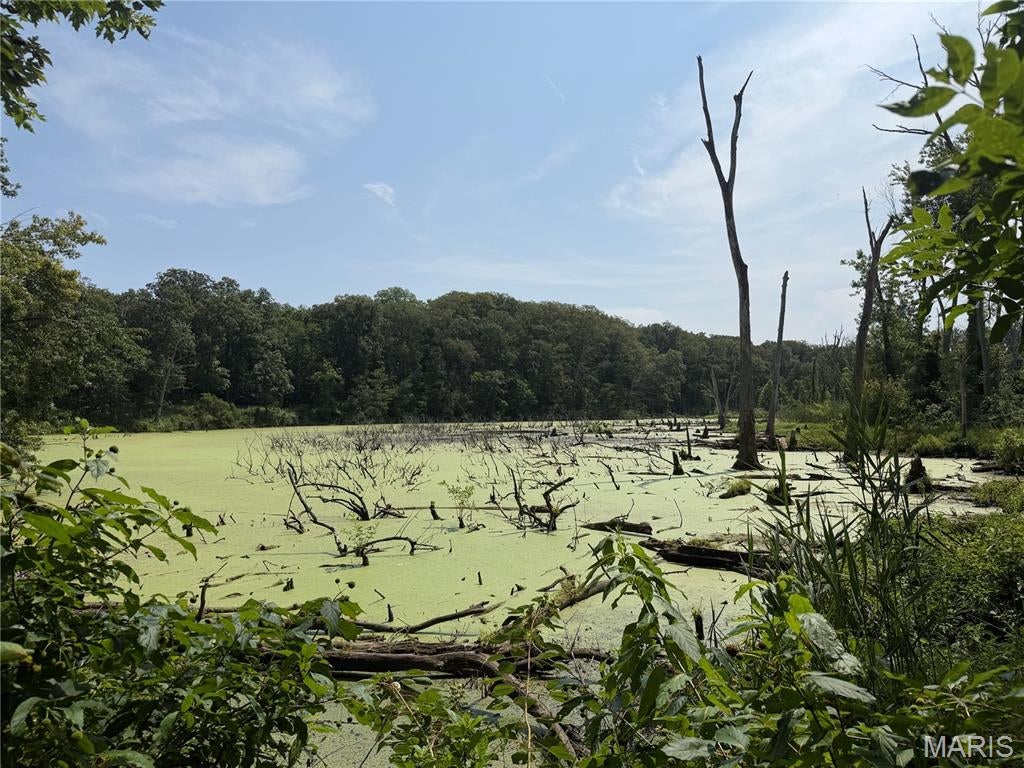 lenzburg - Farm