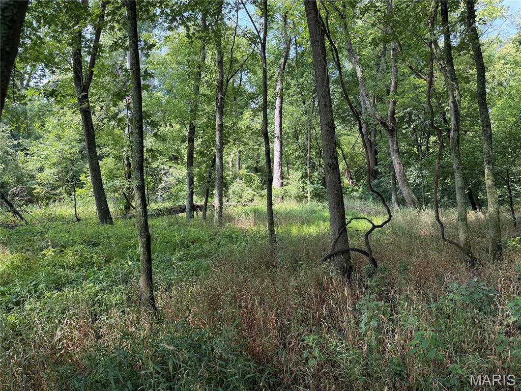lenzburg - Farm