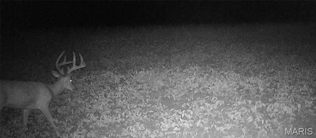 None - Farm