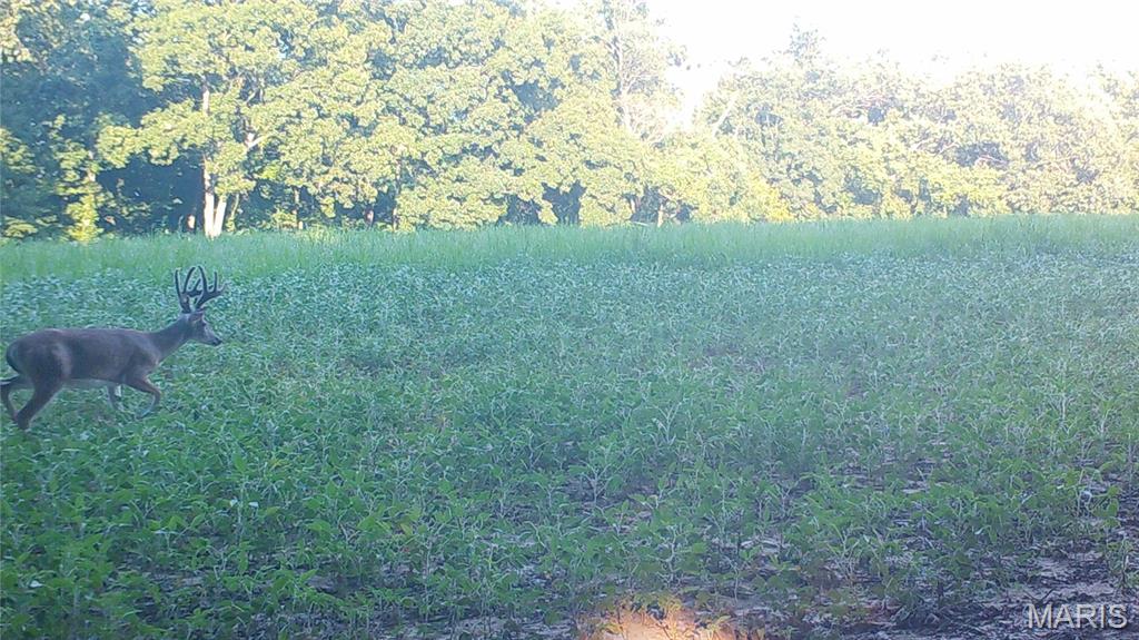 None - Farm