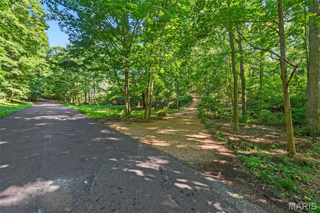 Rockwood Forest 2 - Land