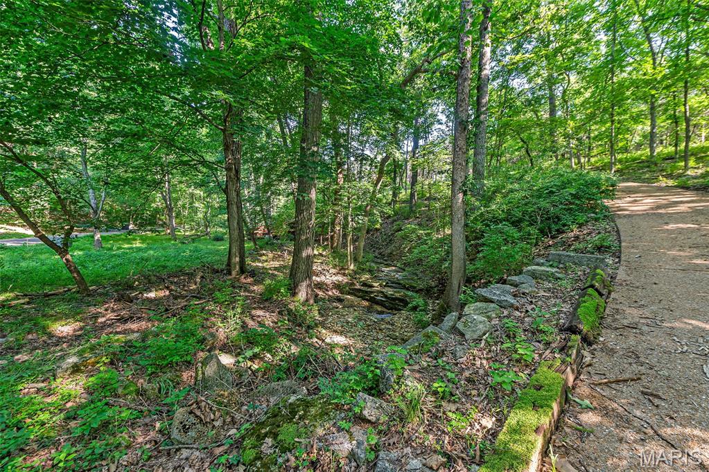 Rockwood Forest 2 - Land